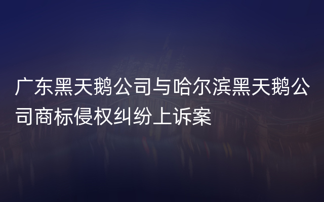 广东黑天鹅公司与哈尔滨黑天鹅公司商标侵权纠纷上诉案