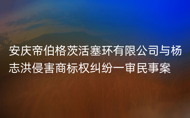 安庆帝伯格茨活塞环有限公司与杨志洪侵害商标权纠纷一审民事案