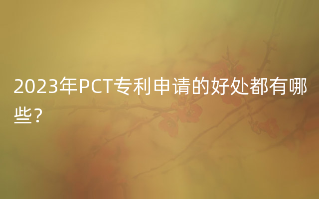 2023年PCT专利申请的好处都有哪些？