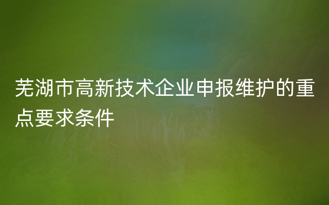 芜湖市高新技术企业申报维护的重点要求条件