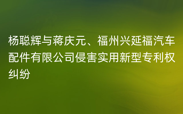 杨聪辉与蒋庆元、福州兴延福汽车配件有限公司侵害实用新型专利权纠纷