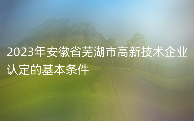 2023年安徽省芜湖市高新技术企业认定的基本条件