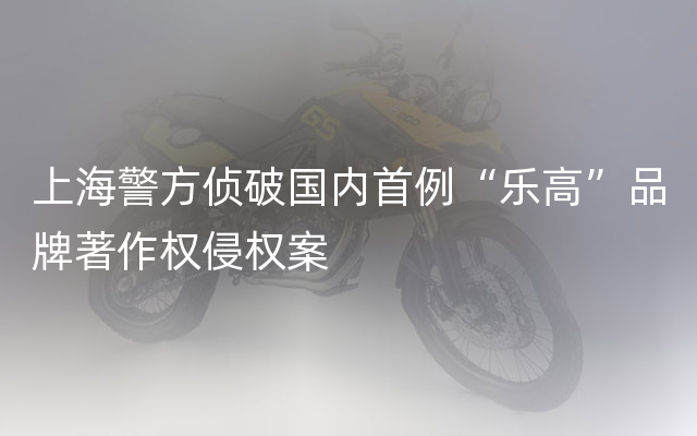 上海警方侦破国内首例“乐高”品牌著作权侵权案