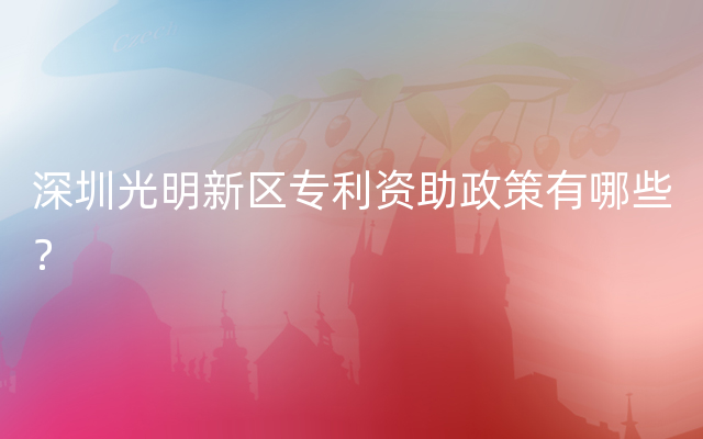 深圳光明新区专利资助政策有哪些？