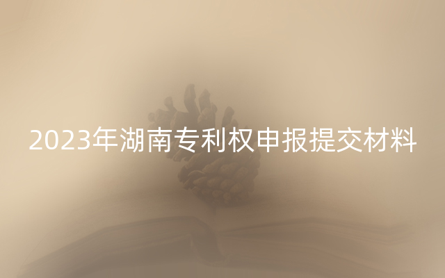 2023年湖南专利权申报提交材料