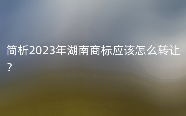 简析2023年湖南商标应该怎么转让？