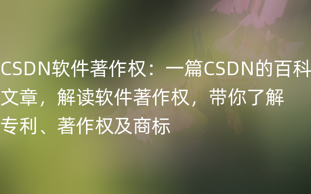 CSDN软件著作权：一篇CSDN的百科文章，解读软件著作权，带你了解专利、著作权及商标