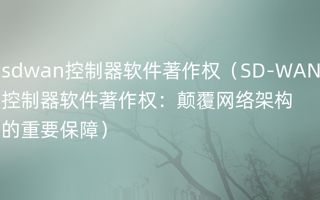 sdwan控制器软件著作权（SD-WAN控制器软件著作权：颠覆网络架构的重要保障）