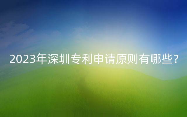 2023年深圳专利申请原则有哪些？