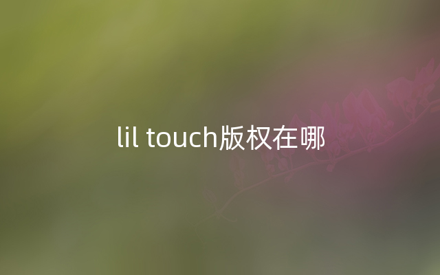 lil touch版权在哪