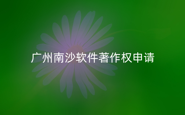 广州南沙软件著作权申请