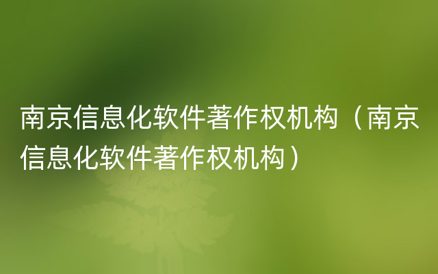 南京信息化软件著作权机构（南京信息化软件著作权机构）