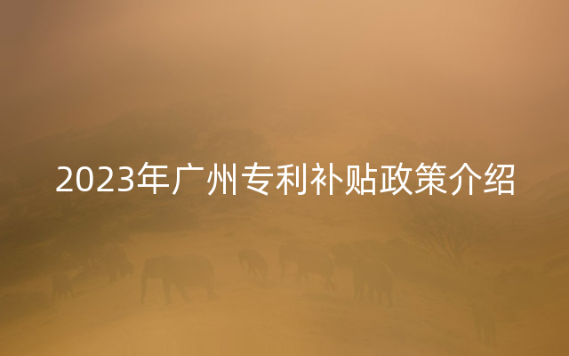 2023年广州专利补贴政策介绍