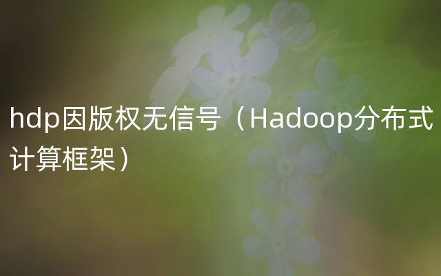 hdp因版权无信号（Hadoop分布式计算框架）