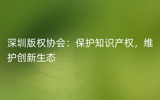 深圳版权协会：保护知识产权，维护创新生态